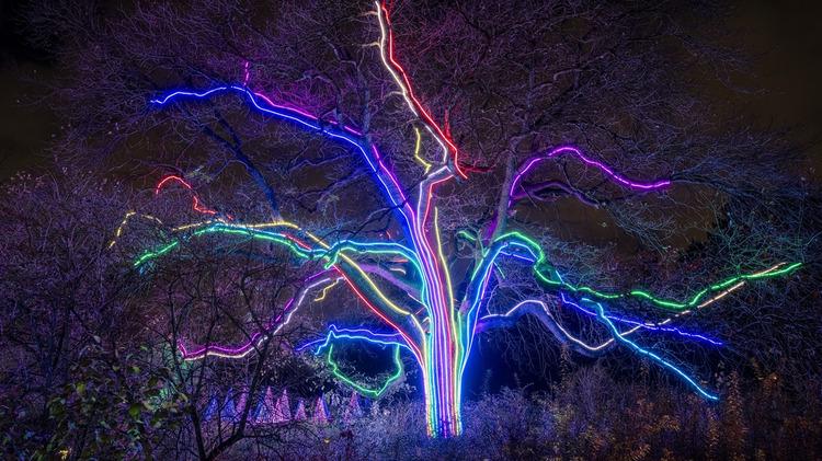 Image du Christmas Garden Berlin ©visitBerlin, Foto : Michael Clemens