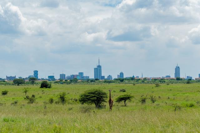kenya en expatriation, un choix de vie