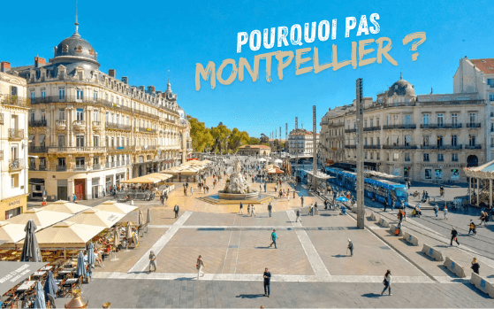 Pourquoi s'installer à Montpellier en retour d'expatriation ?