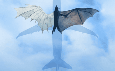 Biomimétisme Léonard de Vinci