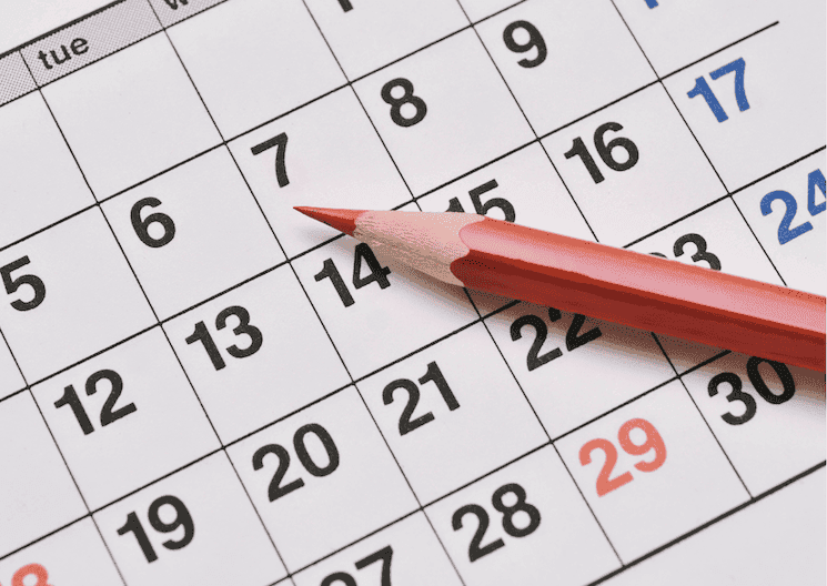 Calendrier scolaire 2025-2026 en Turquie : dates de la rentrée, vacances et fin d’année