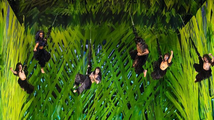 Image issue du site internet du Musical de Tarzan © Johann Persson