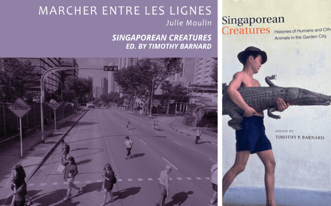 marcher entre les lignes, podcast de Julie Moulin