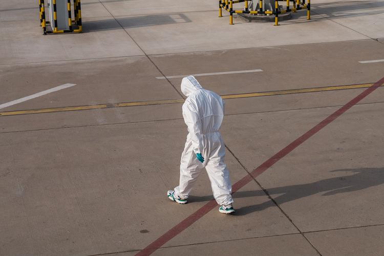 Hantavirus en Pologne