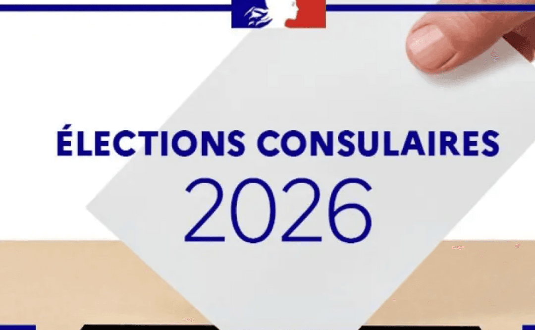 Elections consulaires 2026 nvlle z