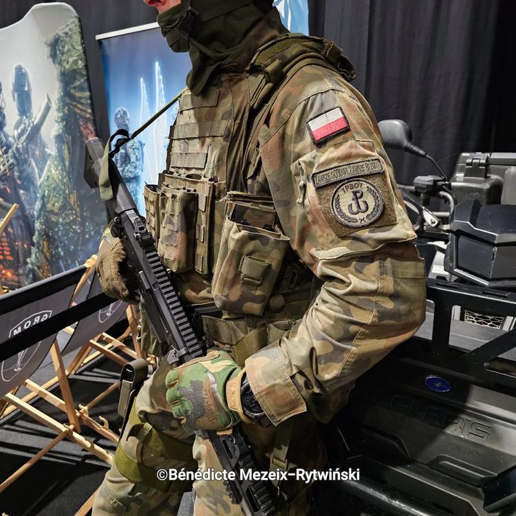Militaire polonais arme guerre Ukraine