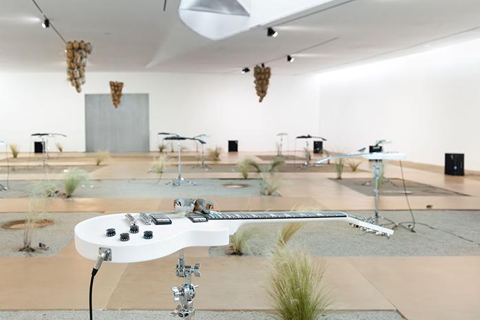 Céleste Boursier-Mougenot au MAAT Gallery - ©Bruno Lopes