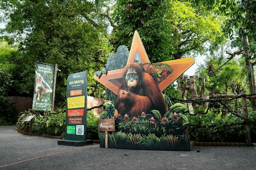 reserve singapour