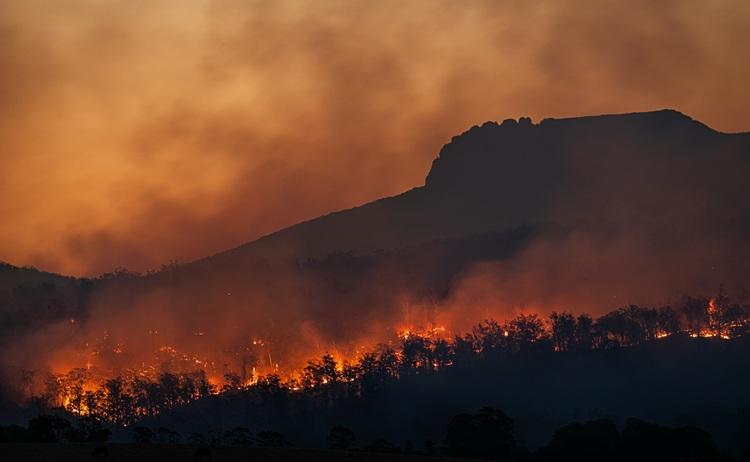 Incendie_forêt