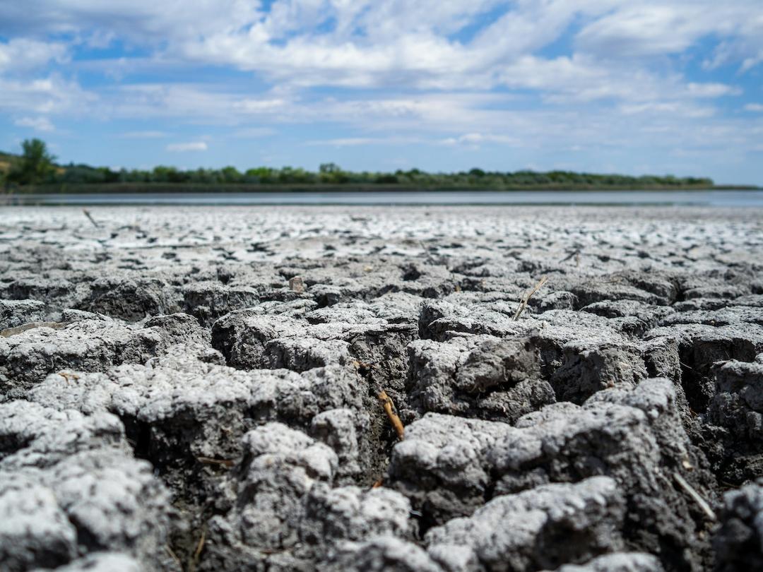 la desertification en Europe, ici en Hongrie