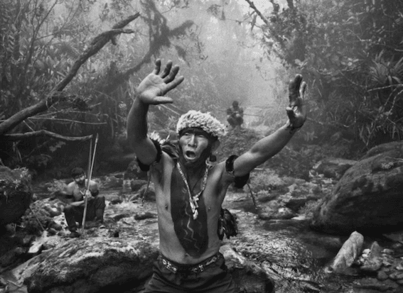 Sebastiao Salgado, Le chaman Angelo Barcelos de la communauté de Maturaca, Brésil, 2014