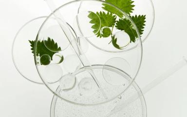 La Biotechnologie en Cosmétique