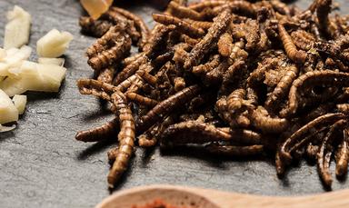 Larves de farine séchées