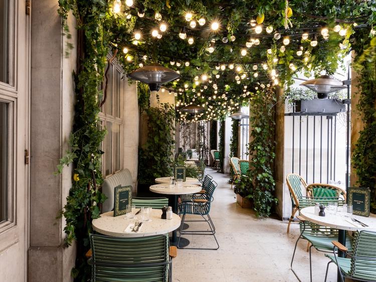 Dépôt légal Terrasse