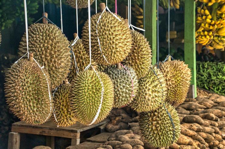 Le durian vietnamien, entre essor fulgurant et exigences de durabilité