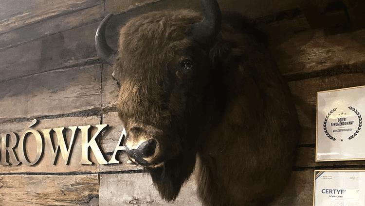 Maison forestière de la forêt de Bialowieza - © S. Greggio