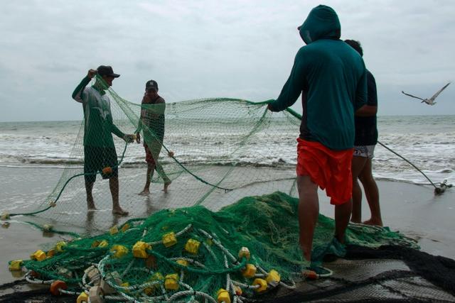 En Amérique latine, les pêcheurs artisanaux à l'épreuve d'El Niño