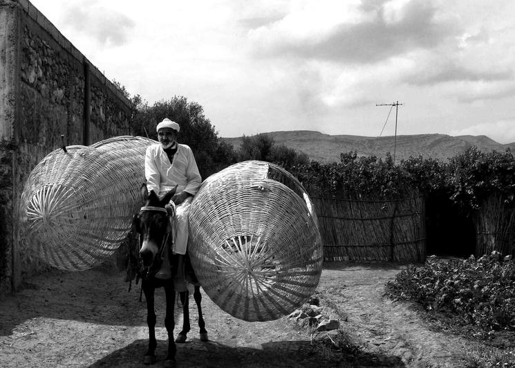 Photo d'un agriculteur sur un âne