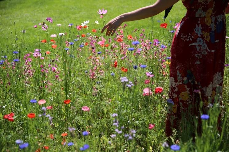 quel chemin en retour d'expatriation